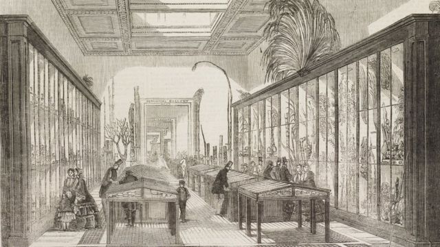 Зал ботаники в Британском музее, 1858 год