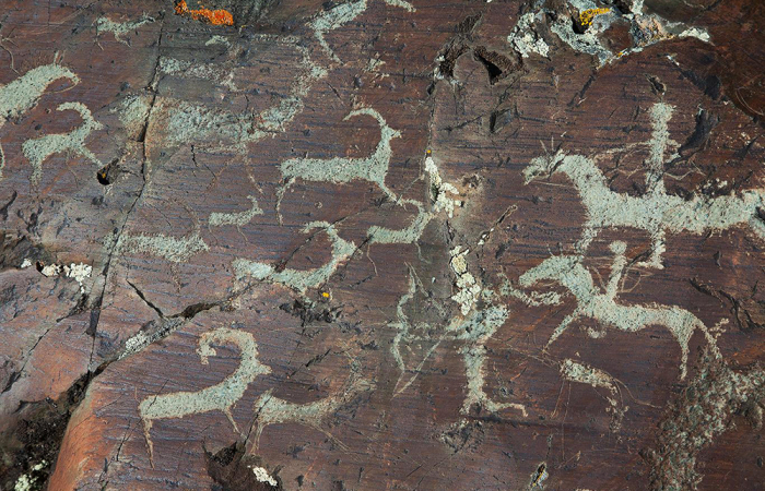 Петроглифы Укок. / Фото: worldrockart.ru