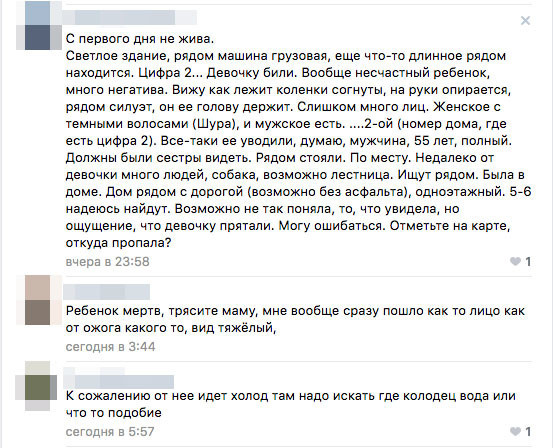 Гипотезы "экспертов" из группы "Астра алерт". Фото © LIFE, vk.com/astro_alert