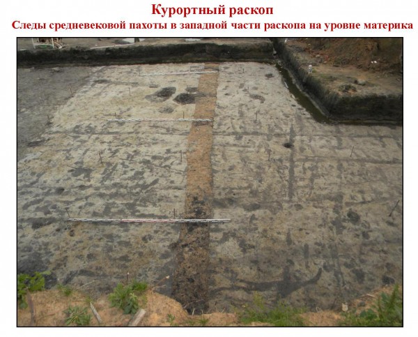 11 Сатрая Русса 03 следы пахоты 11 Сатрая Русса 03 следы пахоты