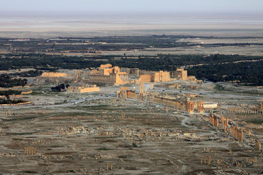 14 Южная Пальмира 14 Южная Пальмира