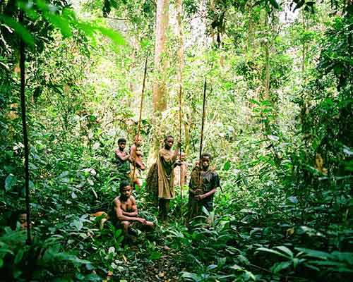 drc-pyg-ke-28_gallery_large