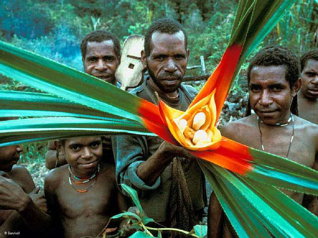ind-yali-wm-15a_gallery_large