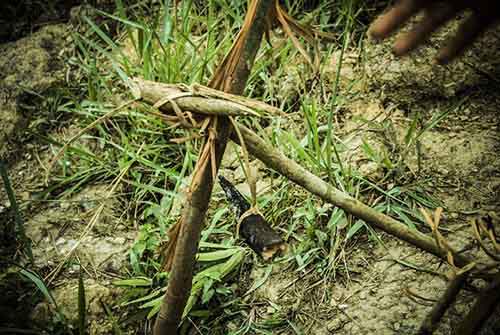 mal-pen-sg-93-2-edit_gallery_large