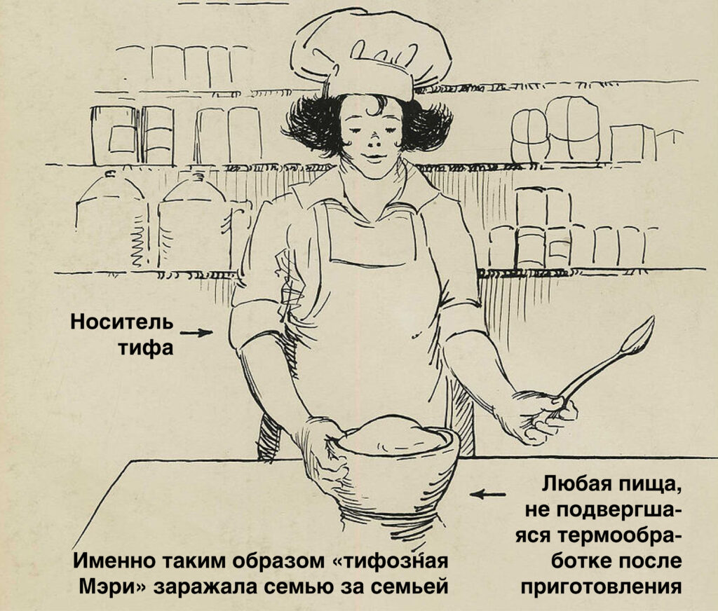 Тифозная Мэри / ©wikipedia.org