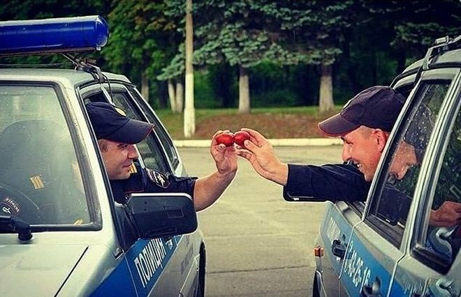 Подборка автоприколов - 63