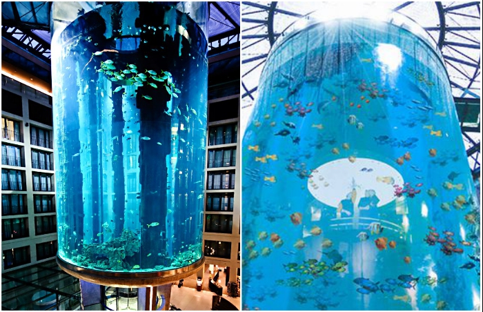 Лифт AquaDom находится внутри гигантского аквариума (Берлин, Германия).
