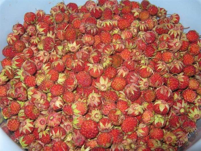 Иногда больше не значит лучше. /Фото: cdn.shopify.com
