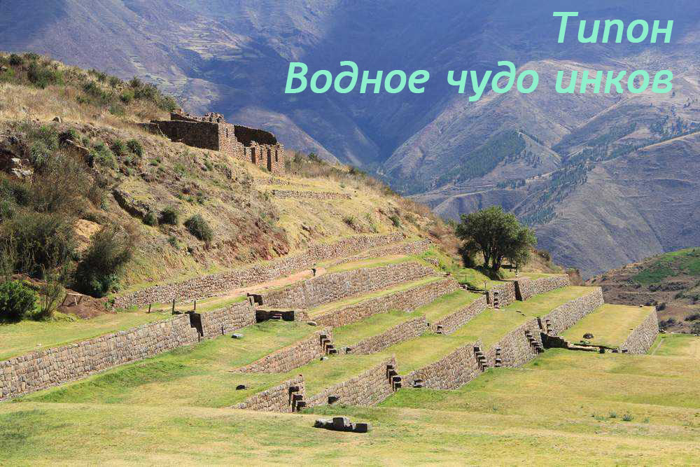 типон