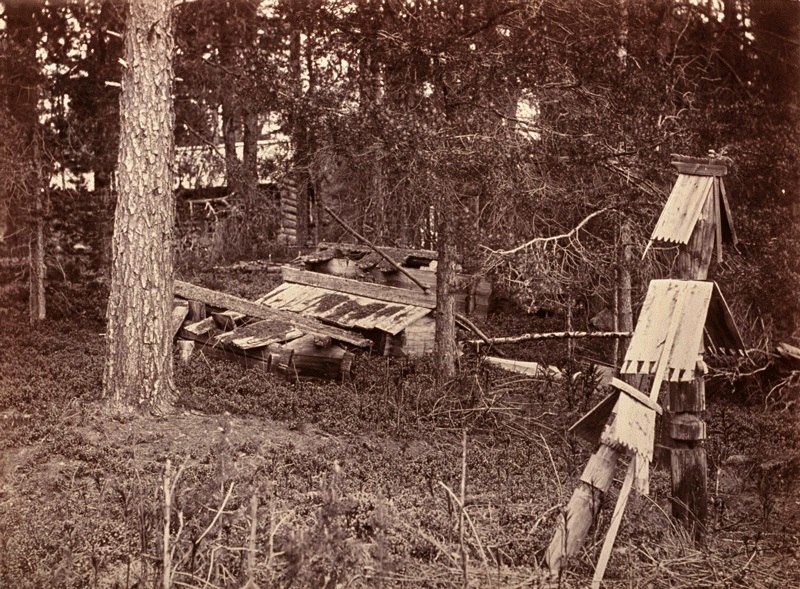 Фотограф Инха (Нюстрём) Инто Конрад