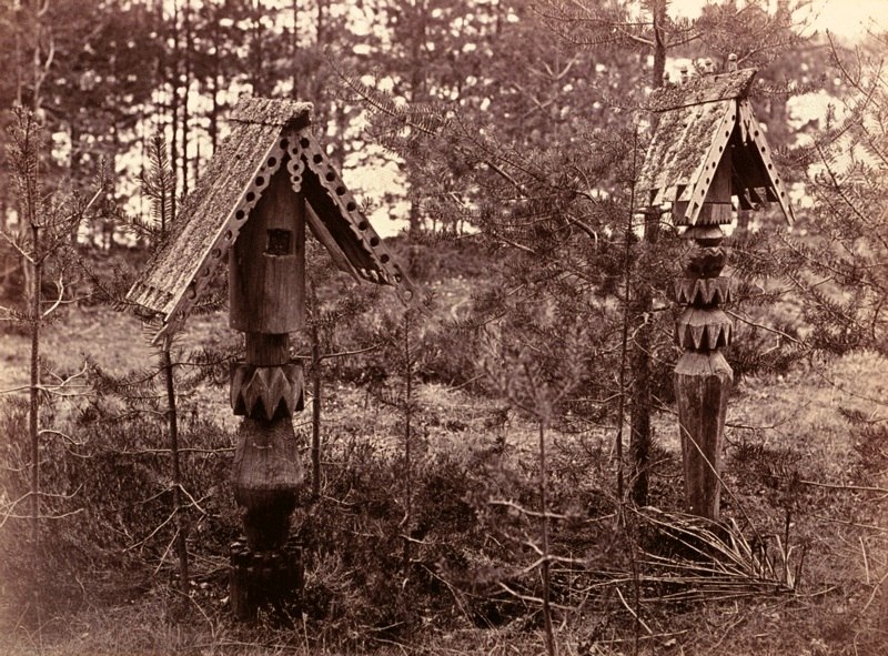 Фотограф Инха (Нюстрём) Инто Конрад