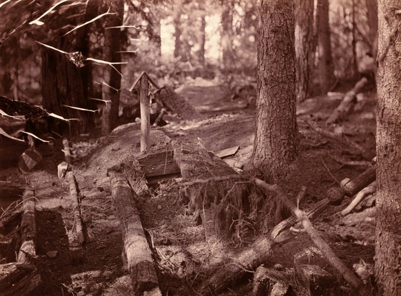 Фотограф Инха (Нюстрём) Инто Конрад Фотограф Инха (Нюстрём) Инто Конрад
