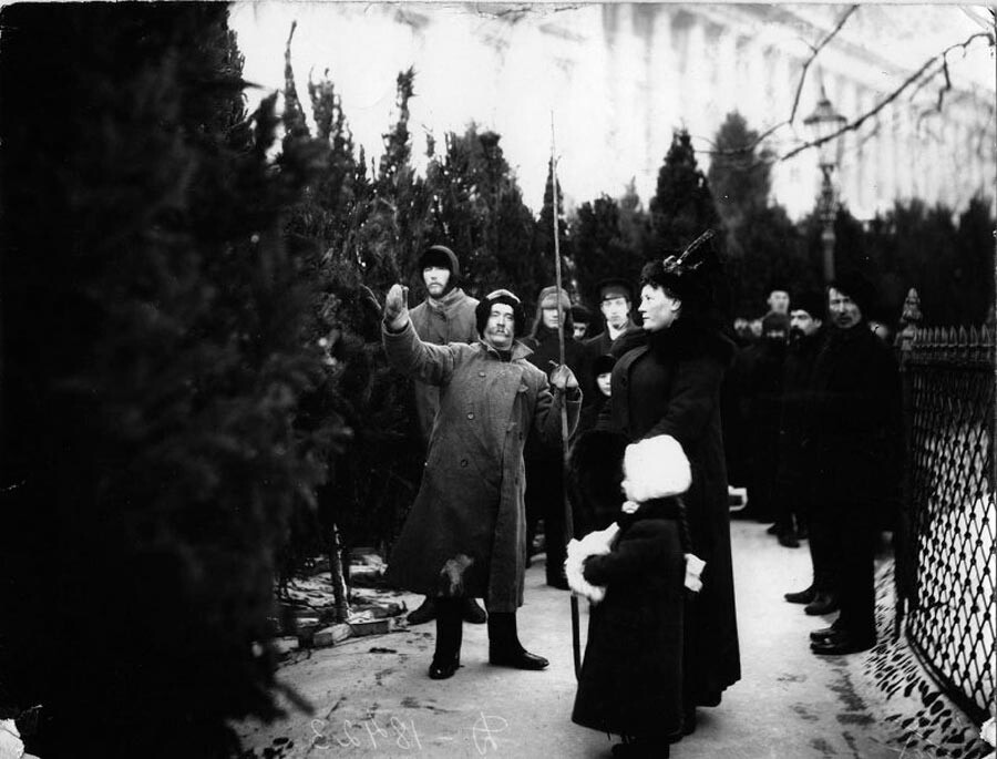Елочный базар в Екатерининском саду Петербурга, 1913