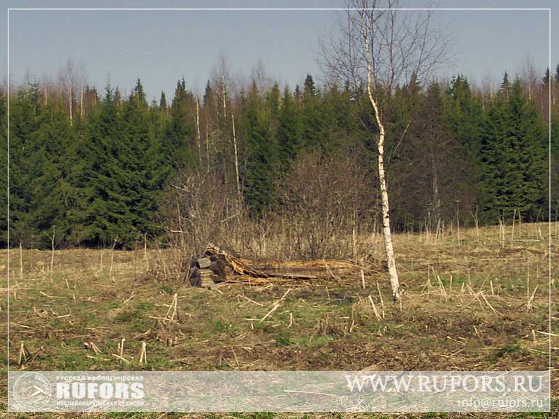 rufors-kudimkar-04