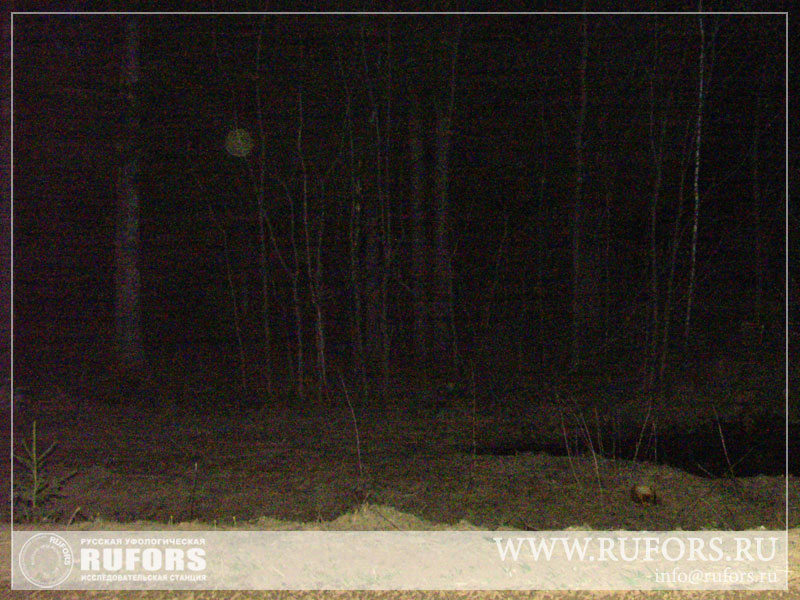 rufors-kudimkar-09-anomal