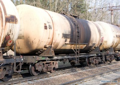 Пальмовое масло делают из нефти!