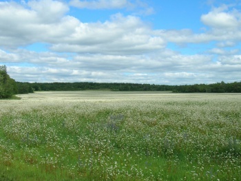 1282205298_350px-grechiha_saratov_region_pr