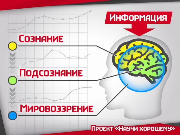 vliyanie-informatsii-na-cheloveka (3)