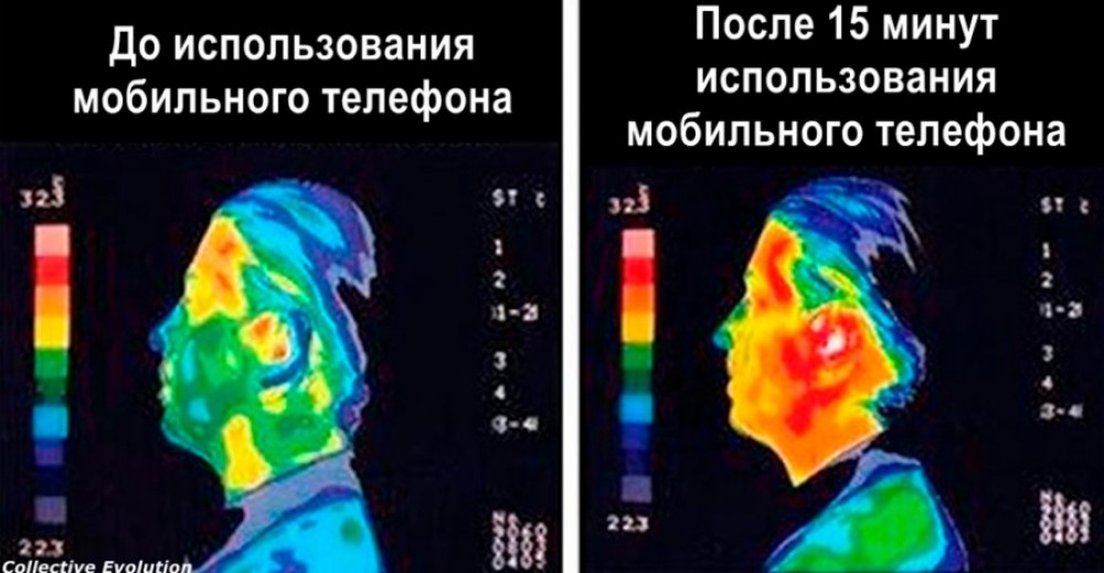 Почему запрещают Wi-Fi в европейских школах и детсадах?