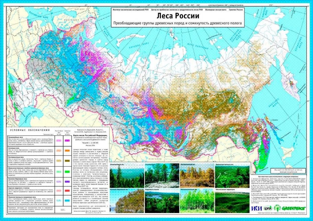 Российские леса хранят большие тайны