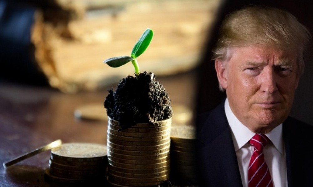 Трамп готов дать добро на слияние двух химических гигантов Монсанто и Байер