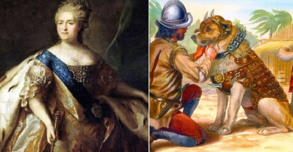 Неудобные исторические события и постыдные экспонаты