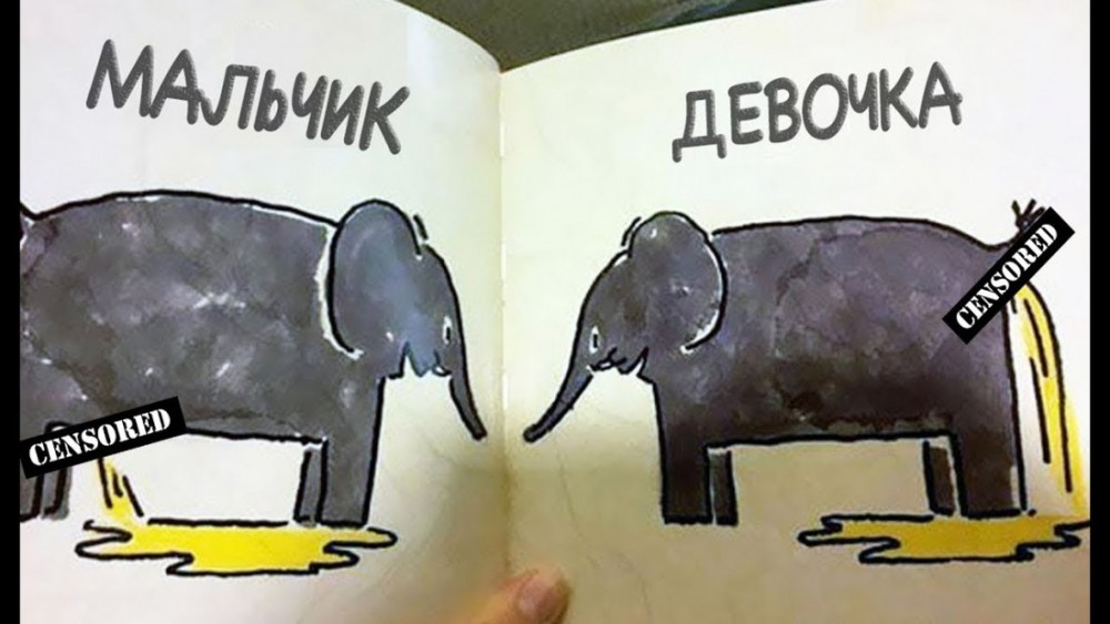 Детские учебники, способные вынести мозг