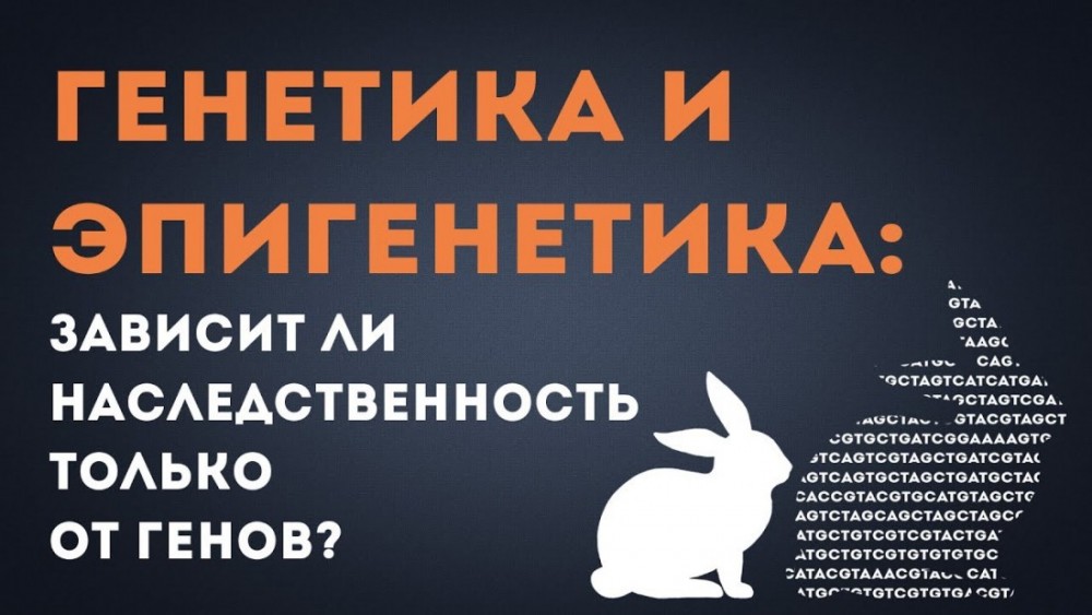 Эпигенетика: невидимый генетический отпечаток