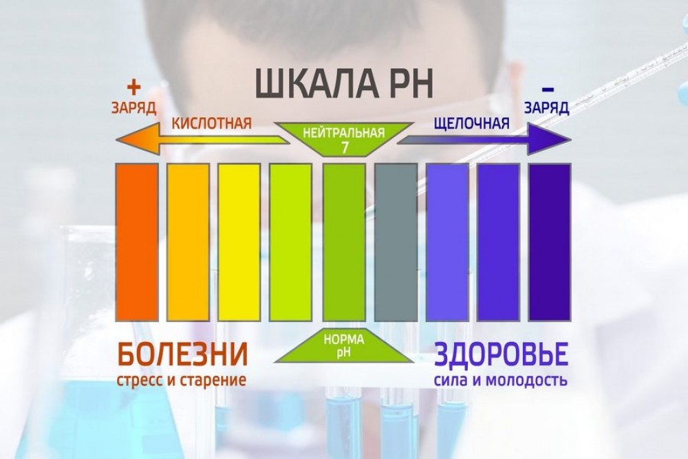 Как сбалансировать кислотно-щелочной баланс организма?