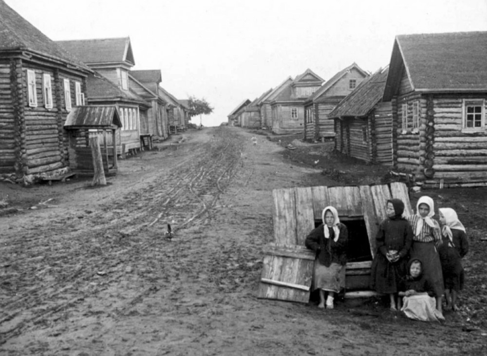 Куда подевались деревья и травы в деревнях Российской Империи